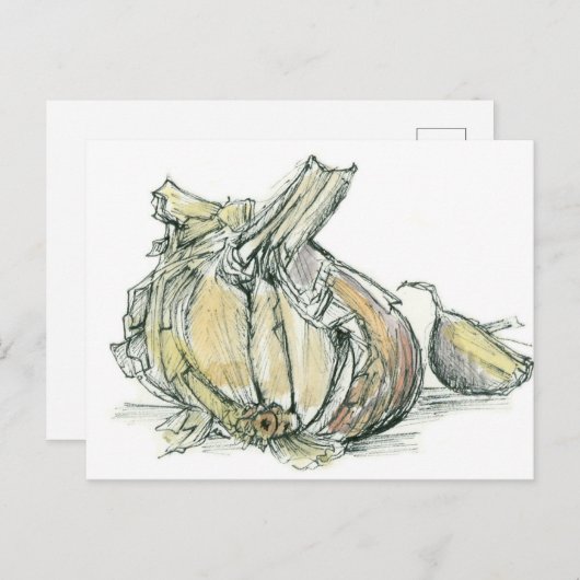 Knoflook Kruid Allium Medicinale koken Spice Teken Briefkaart (Voorkant / Achterkant)