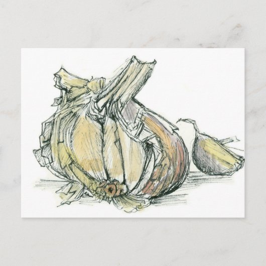 Knoflook Kruid Allium Medicinale koken Spice Teken Briefkaart (Voorkant)