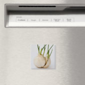 knoflook magneet (Insitu (Vaatwasser))
