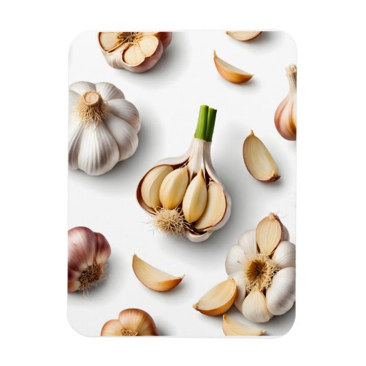 knoflook magneet (Verticaal)