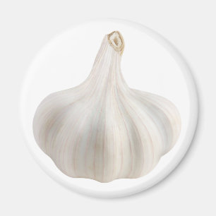 knoflook magneet