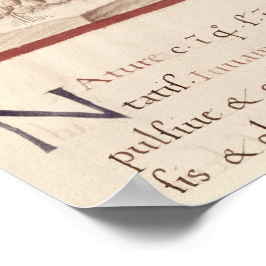 Knoflook oogsten poster (Hoek)