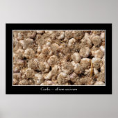 Knoflook op de Franse markt voor poster (Voorkant)