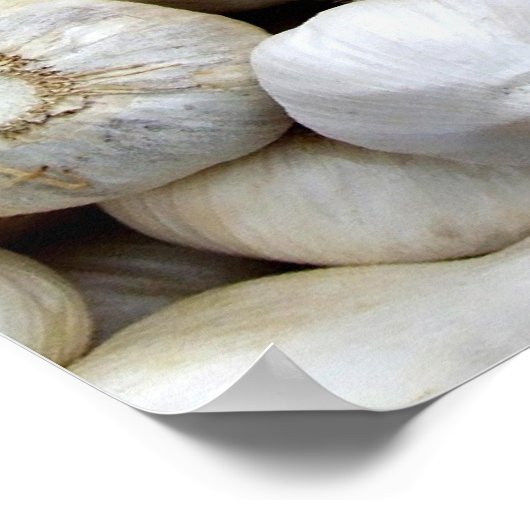 Knoflook Poster (Hoek)