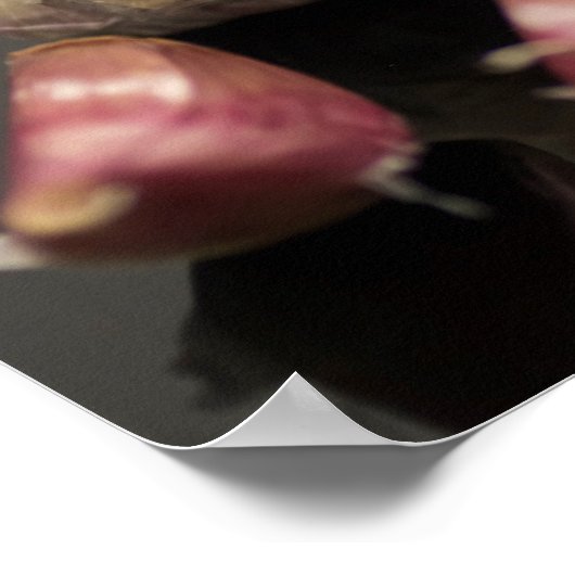 Knoflook Poster (Hoek)