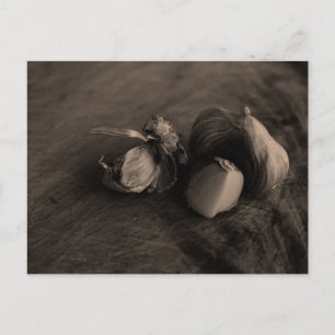 Knoflook Stilleven Fijne Kunst Foto Briefkaart