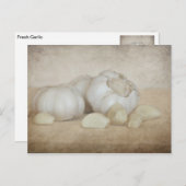 Knoflook, vers briefkaart (Voorkant / Achterkant)