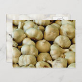 Knoflook, vers briefkaart (Voorkant / Achterkant)