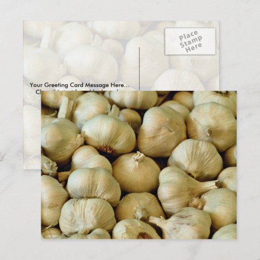 Knoflook, vers briefkaart (Voorkant / Achterkant)