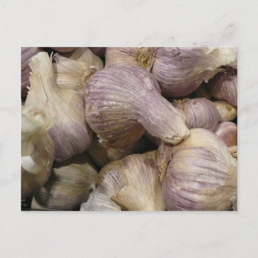 Knoflook, vers briefkaart (Voorkant)