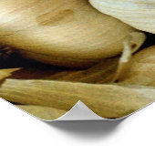 Knoflook, vers poster (Hoek)