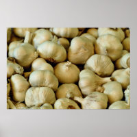 Knoflook, vers