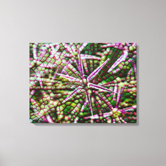 Knoflookbloem cellulaire Abstracte muurkunst Canvas Afdruk (Voorkant)