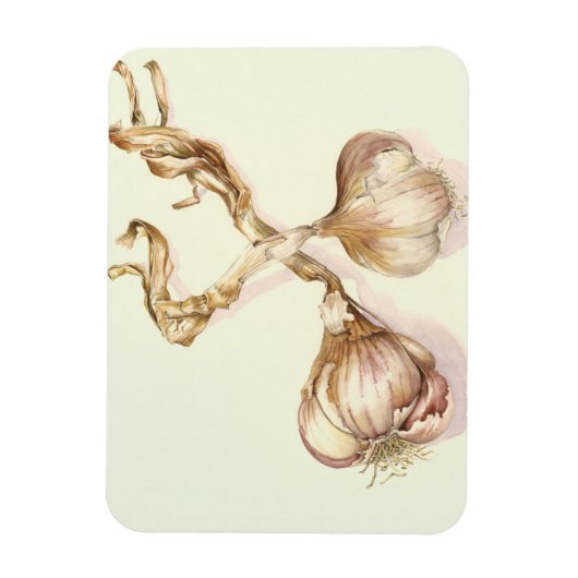 Knoflookbollen 2005 magneet (Verticaal)