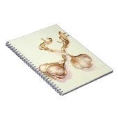 Knoflookbollen 2005 notitieboek (Rechterzijde)