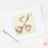 Knoflookbollen 2005 vierkante sticker (Envelop)