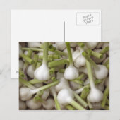 Knoflookbollen Briefkaart (Voorkant / Achterkant)