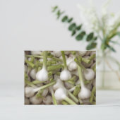 Knoflookbollen Briefkaart (Staand voorkant)