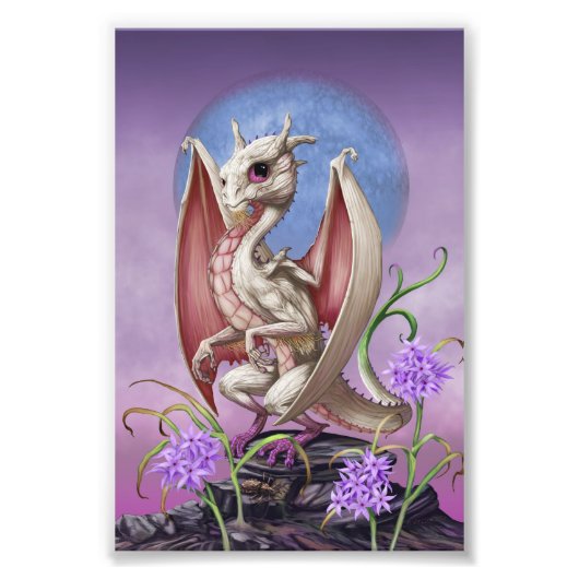 Knoflookdraak 4x6 afdrukken foto afdruk (Voorkant)