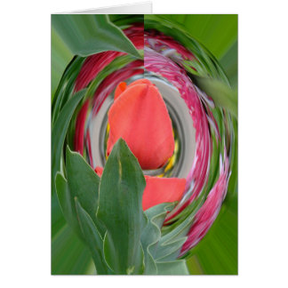 knol