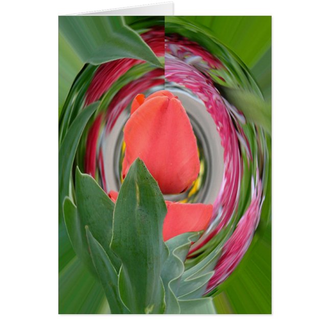 knol (Voorkant)