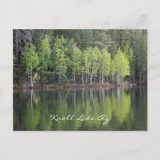 Knoll Lake Arizona Briefkaart (Voorkant)