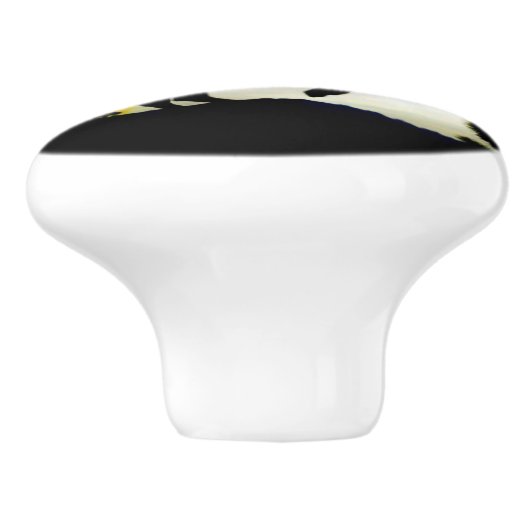 Knollen en pullen van cowboy en Bucking Keramische Knop (Zijkant)