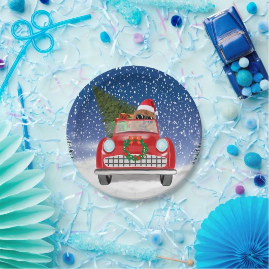 KNOODHOOGTE-RIJVAARTUIGEN IN Sneeuw Papieren Bordje (Feest)