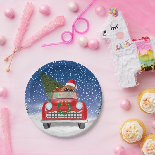 KNOODHOOGTE-RIJVAARTUIGEN IN Sneeuw Papieren Bordje (Feest)