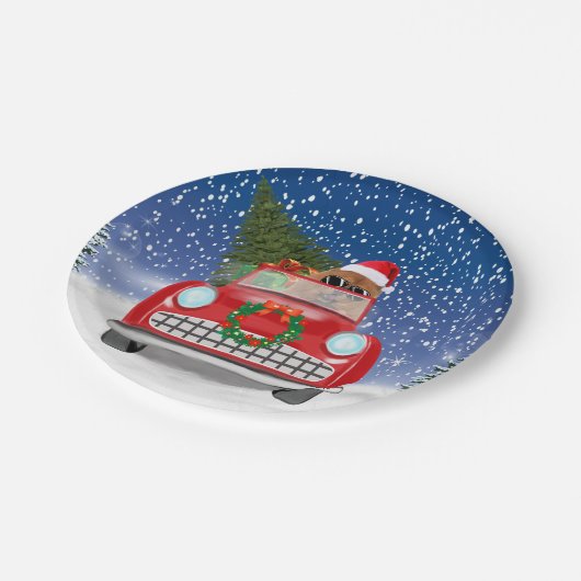 KNOODHOOGTE-RIJVAARTUIGEN IN Sneeuw Papieren Bordje (Gekanteld)