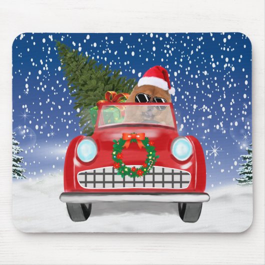 KNOODHOOGTE-RIJVAARTUIGEN IN SneeuwSierkussen Muismat (Voorkant)