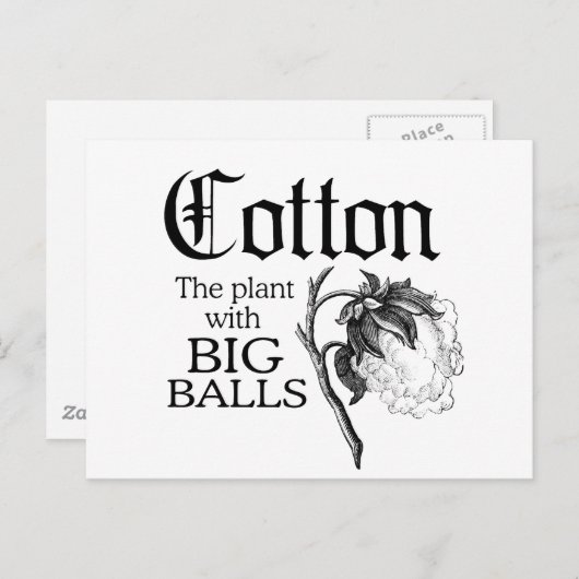 KNOOP HET PLANT MET GROTE BALLEN BRIEFKAART (Voorkant / Achterkant)