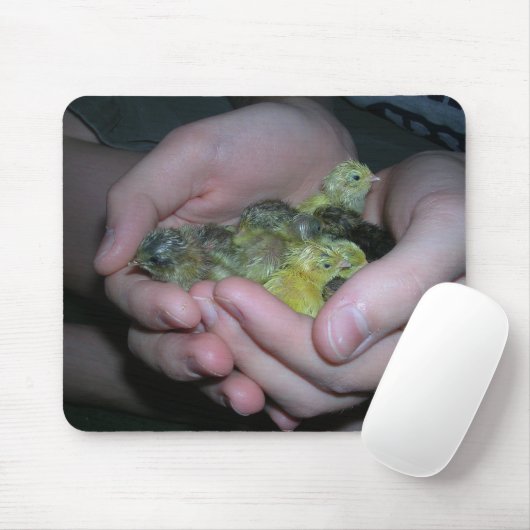 knoop quail mousepad muismat (Met muis)