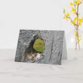 Knoopgat Kaart (Gele Bloem)