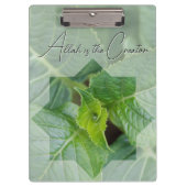 Knooppunt voor God's schepping Klembord (Voorkant)