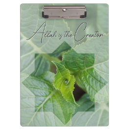 Knooppunt voor God's schepping Klembord