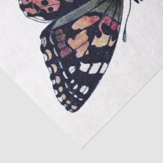 Knoopvlieg-element Tissuepapier (Detail)