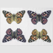 Knoopvlieg-element Tissuepapier (Voorkant)