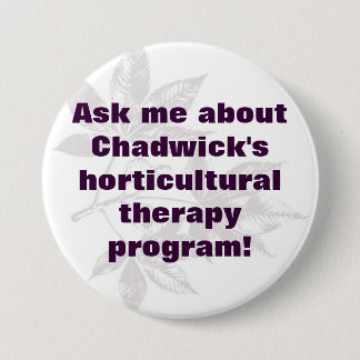 knop 2 ronde button 7,6 cm