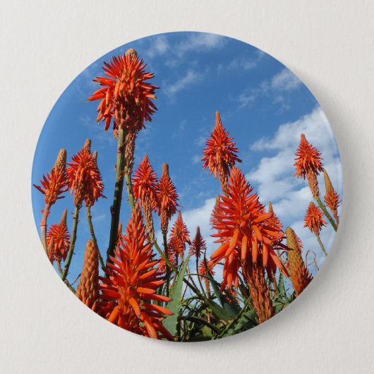 Knop Aloe Arborescens Ronde Button 4,0 Cm (Voorkant)