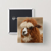 Knop Alpaca Vierkante Button 5,1 Cm (Voorkant /achterkant)