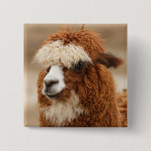 Knop Alpaca Vierkante Button 5,1 Cm