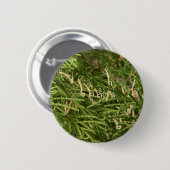 Knop baby Mantis ~ Ronde Button 5,7 Cm (Voorkant /achterkant)