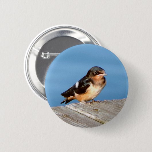 Knop Barn Swallow Ronde Button 5,7 Cm (Voorkant /achterkant)