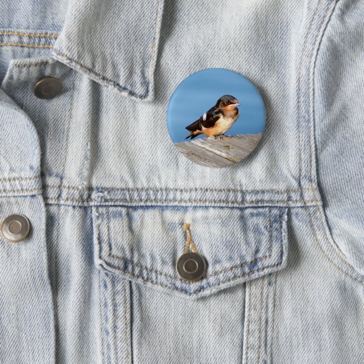 Knop Barn Swallow Ronde Button 5,7 Cm (In situ)