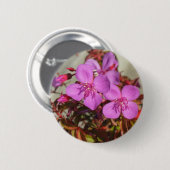 Knop Begonia Ronde Button 5,7 Cm (Voorkant /achterkant)