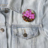 Knop Begonia Ronde Button 5,7 Cm (In situ)
