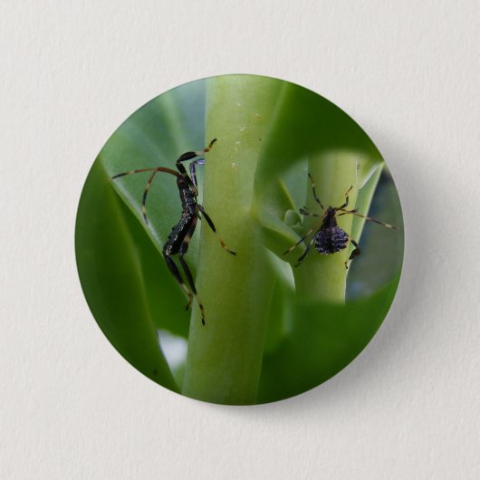 Knop Bladeren gebogen Ronde Button 5,7 Cm (Voorkant)