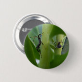 Knop Bladeren gebogen Ronde Button 5,7 Cm (Voorkant /achterkant)