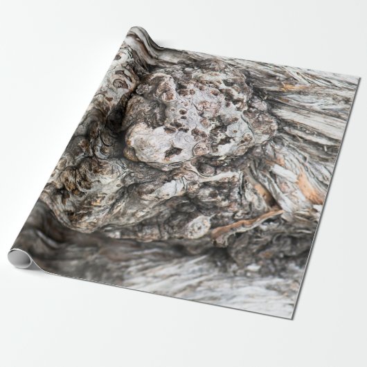 Knop boomstam cadeaupapier (Uitgerold)